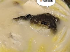 -天正河鲀·河豚亭(大连店)
