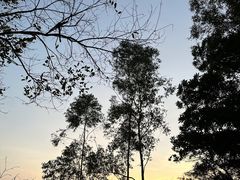 -东莞观音山旅游风景区