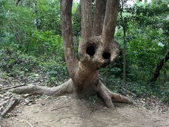 -上海佘山国家森林公园天马山园