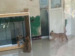 -大连森林动物园