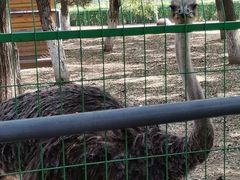 -长白岛森林公园