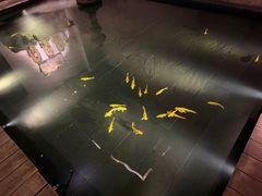-觀芷隐轩