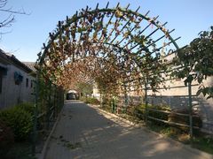 -万源龙顺度假庄园生态观光园