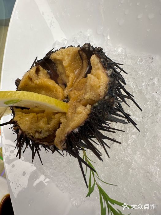 品海楼·大连海胆锅贴馆(东港店)生吃活海胆图片