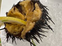 生吃活海胆-品海楼·大连海胆锅贴馆(东港店)