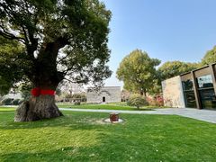 -养云安缦吧THE BAR