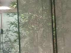 -绿茶餐厅(青岛城阳万象汇店)