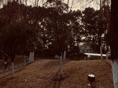 -成飞公园