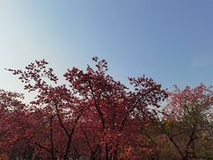-昆明动物园