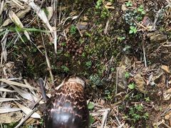 -迪庆藏族自治州博物馆