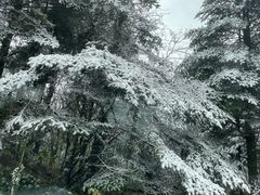 -峨眉山风景名胜区