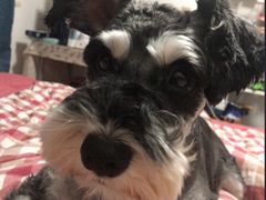 -宏光宠物医院(解放东路店)