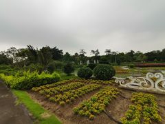 -广东花都香草世界旅游度假区