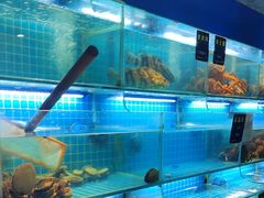 -鸽子侯·家宴·平价海鲜(市图书馆店)