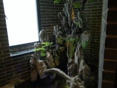 -富侨养生(光大会展店)