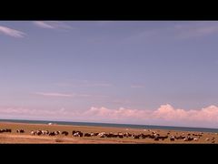 -青海湖国家重点风景名胜区