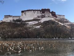 -宗角禄康公园