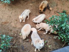 -云南野生动物园