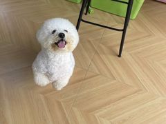 -熊小胖宠物生活馆(天华园店)