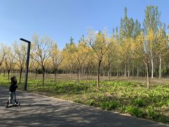 -东郊湿地公园
