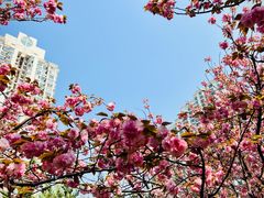 -苏州河梦清园环保主题公园