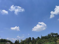 -重庆园博园