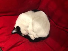 -么么咖啡(燕郊店)