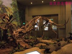 -自贡恐龙博物馆