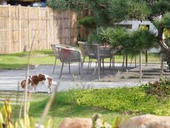 -加顺农场餐厅