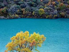 -叠溪松坪沟景区