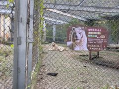 -合肥野生动物园