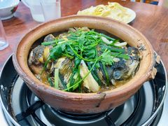 -华仔土鸡店(南洲分店)