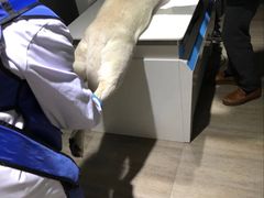 -暖阳宠物医院·犬猫康复中心·骨科