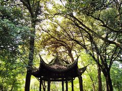 -杭州植物园