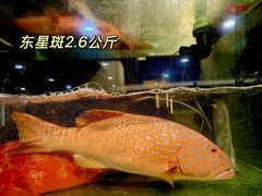-蟹皇海鲜餐厅