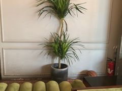 -the rug 飞毯 (朝阳公园店)