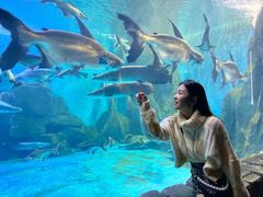 -多彩贵州城极地海洋世界