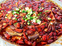 -青城甲(青城山店)