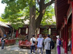 -少华山国家森林公园