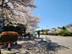 -江南大学(蠡湖校区)