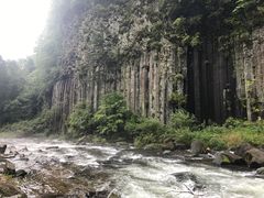 -望天鹅景区