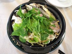 -肥信潮菜(科新路店)