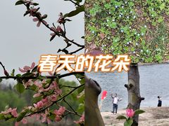 -洨河生态公园