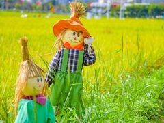 -光明小镇欢乐田园