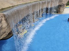 -太阳岛沙滩泳场水上乐园