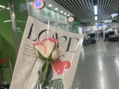 -麒麟中餐厅·经典粤菜·地道菜式老字号(广州长隆酒店)