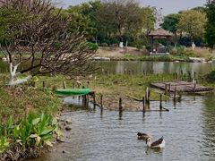 -芒洲湿地公园