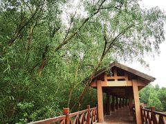 -大亚湾红树林城市湿地公园