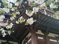-西安青龙寺遗址景区