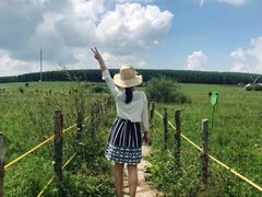 -塞罕坝国家级自然保护区